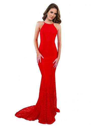 Purchase Lace Mermaid Long Sleeveless Open Back Evening Dress